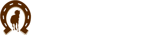 Elevage des Briards, chevaux et poneys de sport. Elevage français de chevaux et de poneys dans la Marne