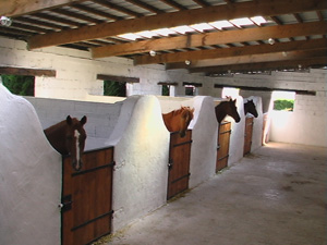 ecurie pension chevaux près de Reims (51)