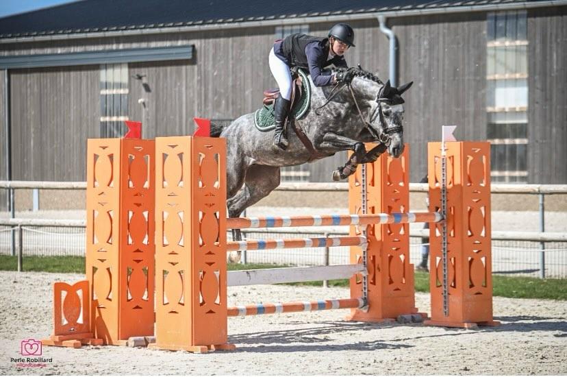 UNIQUE BEAUTE D'ASSCHAUT - BW née en 2021