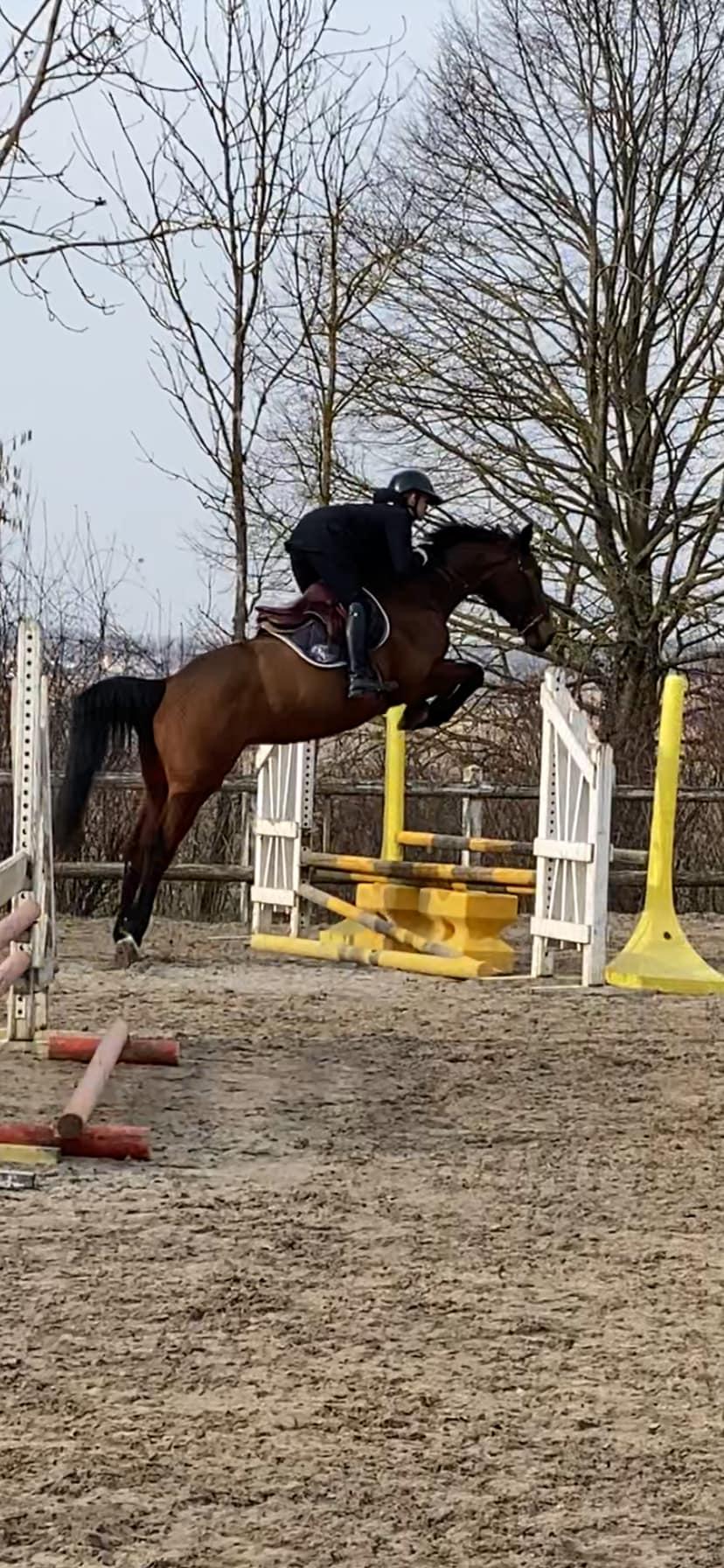 Valentina M Van'T Asschaut - BW née en 2021